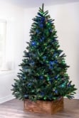 The Ultra Devonshire Fir Pre-lit with Warm White/Multicoloured Colour change LEDs (4ft to 12ft)