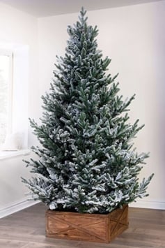 The 7ft Frosted Ultra Mountain Pine