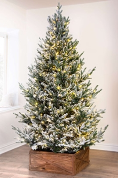 The 9ft Pre-lit Frosted Ultra Mountain Pine