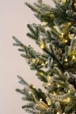 The Pre-lit Frosted Ultra Mountain Pine (4ft to 10ft)