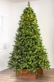 The Ultra-Lit Montagna Fir Tree (6ft to 8ft)