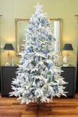 The Snowy Alpine Tree (4ft to 8ft)