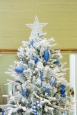 The Snowy Alpine Tree (4ft to 8ft)