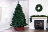 The Arbor Vitae Fir Tree (4ft to 20ft)