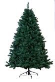 The Arbor Vitae Fir Tree (4ft to 20ft)