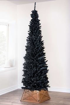 The 4ft Black Italian Pencilimo Tree