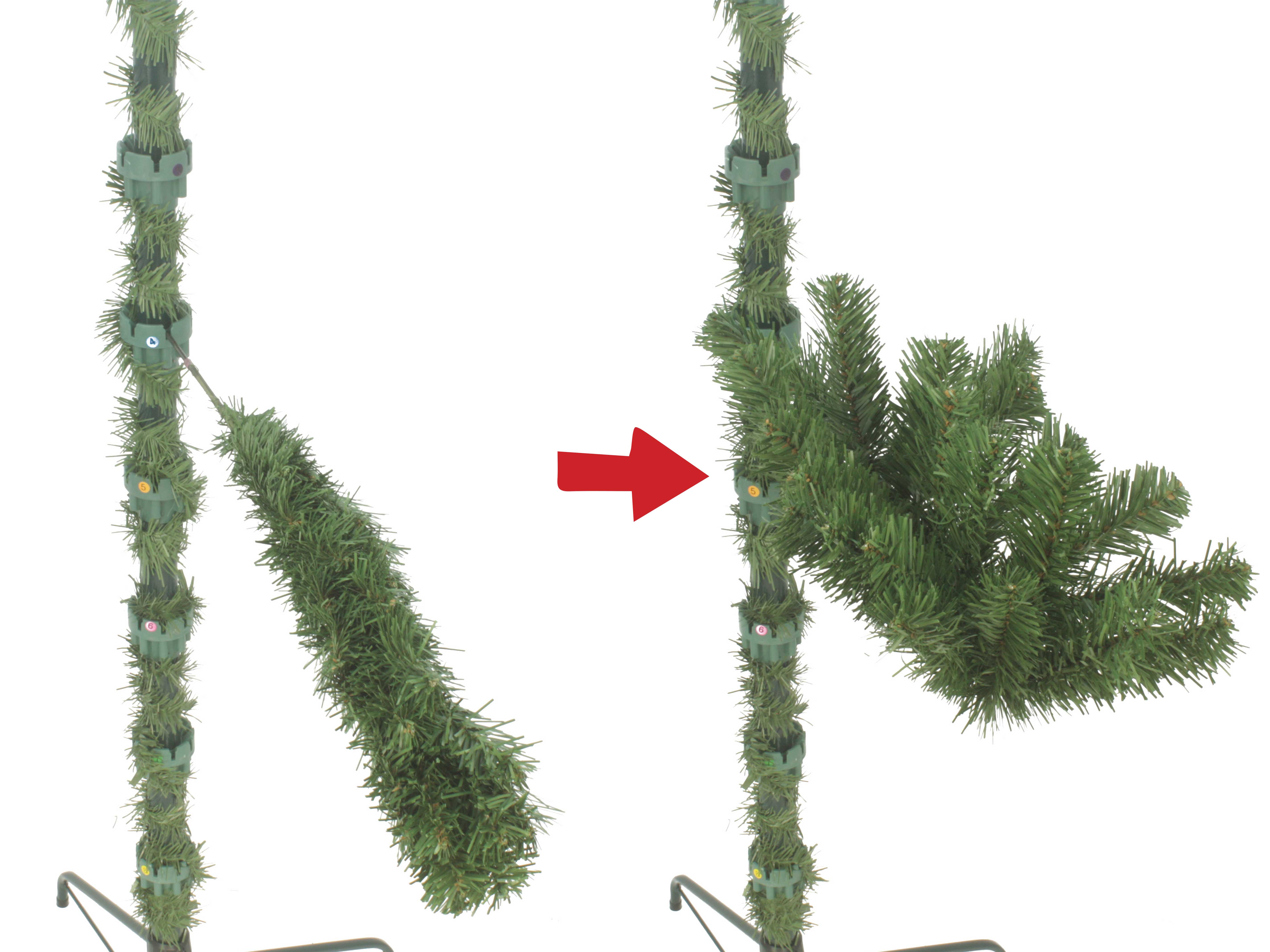 Before and after branch fluffing Xmas tree