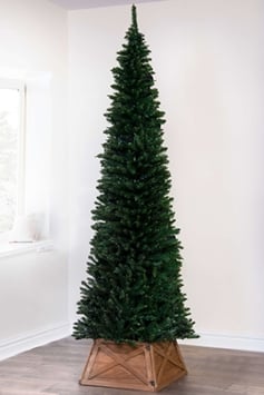 The 7ft Green Italian Pencilimo Tree