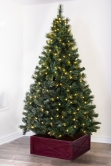 The Pre-lit Majestic Dew Pine Tree (3ft to 12ft)