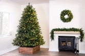 The Pre-lit Woodland Pine Tree (4ft to 8ft)