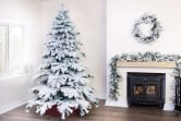 The Snow White Fir (5ft to 8ft)