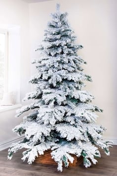 The 5ft Snow White Fir Tree