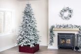 The Snowy Alpine Tree (4ft to 8ft)