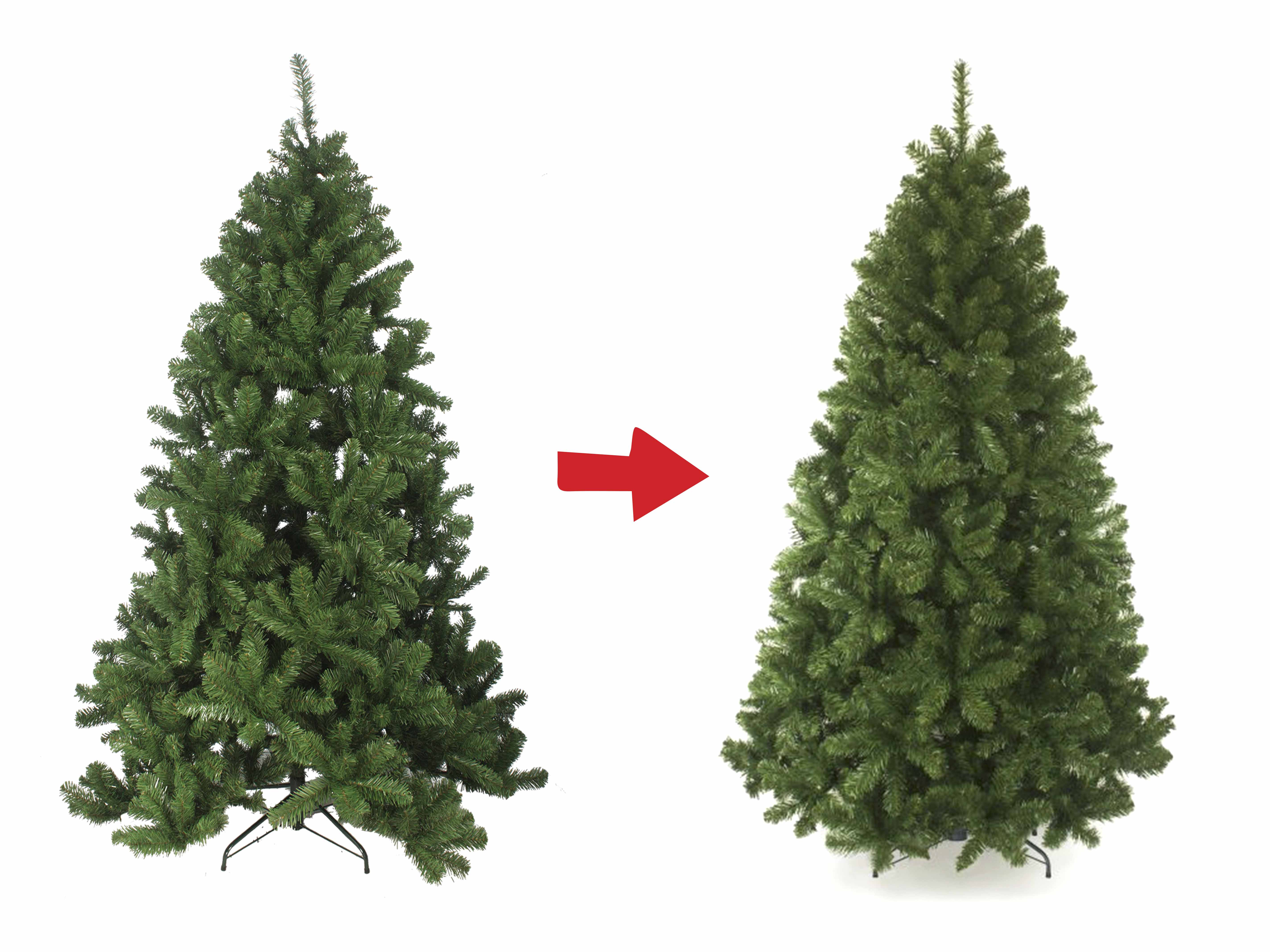 How to get the right Christmas tree shape